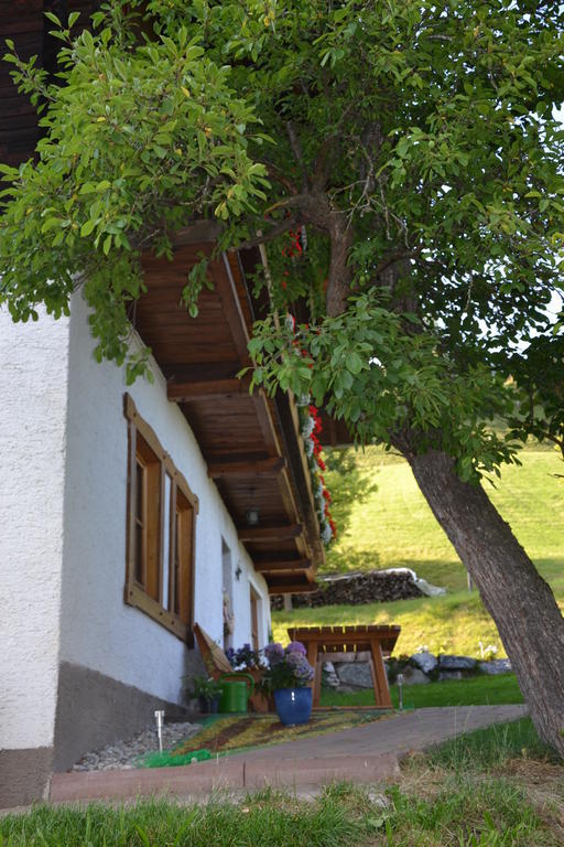 Bauernhof Bachrain Villa Taxenbach Exteriör bild